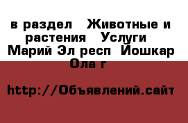  в раздел : Животные и растения » Услуги . Марий Эл респ.,Йошкар-Ола г.